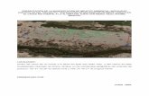 GUIA PARA LA ELABORACIÓN DE LA …sinat.semarnat.gob.mx/.../sin/estudios/2009/25SI2009HD070.pdf · “Extracción de materiales pétreos (arena) en el Río Fuerte a la altura del
