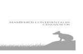MAMÍFEROS CONTINENTALES CENOZOICOSregistrofosilasierra.weebly.com/uploads/3/9/3/5/3935280/pe11239255.pdf · Grey areas indicate gaps in the record. ... nales de las faunas de mamíferos
