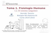 Tema 1. Fisiología Humana - dpbiologia.weebly.comdpbiologia.weebly.com/.../2/1/5/...el_sistema_sanguneo.curso_14-15.pdf · Componentes del sistema sanguíneo Sistema circulatorio