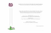 Estudio del Efecto de la Molienda de Ultra Alta …tesis.ipn.mx/jspui/bitstream/123456789/9633/1/100.pdf · delpresente trabajo deTesis bajo ladirección de Dr. Ricardo Cuenca Álvarez