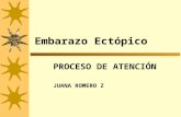 [PPT]Embarazo Ectópico - biblioceop | Just another … · Web viewLIBRE EN DOUGLAS ECOGRAFIA EN EL EMBARAZO ECTOPICO = ECOGRAFIA TRANSVAGINAL LAPAROTOMÍA Title Embarazo Ectópico
