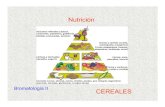 Nutrición - INGENIERIA AGROINDUSTRIAL | … · 2010-05-07 · 50% de las necesidades de carbohidratos ... (antiguo nombre romano de las fiestas en honor de Ceres, diosa de los granos).