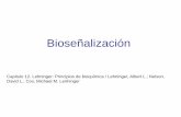 Biose±alizaci³n - IIB- .Biose±alizaci³n Capitulo 12. Lehninger: Principios de bioqu­mica / Lehninger,