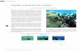 Estado actual de los corales - Secretaría de Desarrollo ...€¦ · cambio climático global (Torruco, 1995). Los cambios en las estructuras comunitarias incluyen pro-cesos geoquímicos,