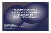 MANIFESTACIONES EXTRA RENALES DE LA …a/NEF15-Nefro-Purpura... · macroscópico (10%). Hematemesis y melena. El sangrado ... Diagnosis and Managment of Henoch ...