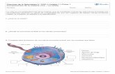 Ciencias de la Naturaleza 2.º ESO Unidad 1 Ficha 1 ...ieslaarboleda.weebly.com/uploads/5/3/1/4/5314521/unidad_01.pdf · La digestión es el proceso de transformación mecánica y