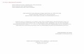 A-PDF MERGER DEMO Villarreal.pdf · 2007-07-03 · doctorado en ciencias aplicadas facultad de ingenieria universidad de los andes proyecto de grado para optar al tÍtulo de doctor