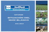 Situación del maíz blanco, año 2014web.maga.gob.gt/download/Info-maízblanco-dic14.pdf · implica la reducción de 1.9 millones de quintales (86.4 miles de TM), ... 13 Huehuetenango