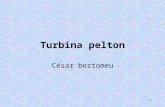 Turbina peltonintercentres.edu.gva.es/iesn1lasenda/tec 2007/dep tec... · PPT file · Web view2011-02-23 · Turbina pelton César bertomeu ... as car alternators run at 5,000 to