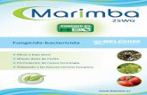 Fungicida-bactericida - Inicio · Marimba® 25WG es una marca registrada por Belchim Crop Protec on nv/sa MMarimba-SPA4-16.indd 2arimba-SPA4-16.indd 2 …
