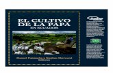 EL CULTIVO DE LA PAPA - International Potato Centercipotato.org/wp-content/uploads/Documentacion PDF/Pumisacho y... · EL CULTIVO DE LA PAPA EN ECUADOR Editores Manuel Pumisacho y