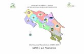 Informe anual Estadísticas SEMEC 2015 SINAC en … en Numeros/Informe SEMEC 2… · 3 Presentación El Sistema Nacional de Áreas de Conservación (SINAC) se complace en poner a