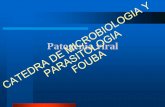 Patogenia viralPARASITOLOGIA FOUBA - Facultad de … Microbiologia/fotos book/guias de... · PARASITOLOGIA de neoplasias malignas ... Métodos directos Detectan el virus o alguno