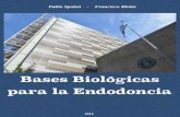 Bases Biológicas para la Endodoncia - …bibliotecas.unr.edu.ar/acceso/9789874205216.pdf · Libro digital, PDF Archivo Digital: descarga y online ISBN 978-987-42-0521-6 1. ... Bases