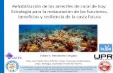 Rehabilitación de los arrecifes de coral de hoy ...caribbean-mp.org/documents/7/Dr._Edwin_A._Hernandez.pdf · Necesidad ampliar escala especial, modelos demograficos y espaciales