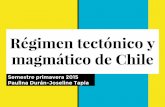 Régimen tectónico y magmático de Chile - pepeline.cl · Régimen tectónico y magmático de Chile, generalidades La metalogénesis de Chile y en general de la Cordillera de Los