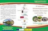 PARQUE NATURAL DE LA SERRANÍA DE CUENCA - … · diversidad y la conservación de los insectos, con especial atención al ámbito regional y comarcal, y de salidas de campo ... triptico.cdr