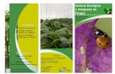 Control Biológico e Integrado de Plagas - entomologica.es fileLos productos agrícolas libres de residuos contra las plagas son ya una exigencia legal en la Unión Europea. Nuestro