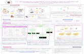 Presentación de PowerPoint147.96.70.122/Web/TFG/TFG/Poster/MARIA JOSE SACEDO CALVO.pdf · • S. cerevisiae. • Homología. ... Modelling neurodegeneration in Saccharomyces cerevisiae: