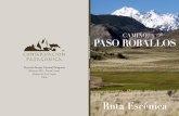 CAMINO PASO ROBALLOS · sur (especie nativa en peligro de ... Colocándole un valor a cada hito natural de la zona. ... eje principal del sur austral de Chile y se ha transformado