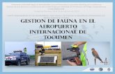 Presentación de PowerPoint€¦ · El Aeropuerto Internacional de Tocumen, está localizado a una distancia de 24 Km del centro de la ciudad de Panama, República de Panamá.
