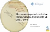 Herramientas para el control de Campylobacter. … · carga en pollos durante el engorde Reducción de carga en canales de pollo Reducción de la exposición humana. Control de Campylobacter