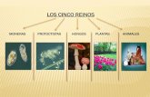 LOS CINCO REINOS - … · A) LOS PROTOZOOS •Son seres microscópicos. •Son unicelulares. •Son heterótrofos (se alimentan de bacterias, y otros organismos microscópicos. •Viven