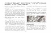 Sección cortical entre la Cuenca del Salar de Atacama …biblioserver.sernageomin.cl/opac/DataFiles/14127_pp_165... · 2013-01-16 · cortical y los principales estilos estructurales