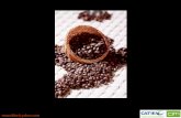 rmuschler@yahoo - Ministerio de Agricultura y Ganadería de... · de cafetales en Costa Rica: insumos para NAMA-café ... controladores biologicos) (c) aumentar la seguridad alimentaria