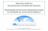 ABA ROLI MÉXICO Iniciativa para el Estado de …abaroli.mx/wp-content/uploads/2015/04/TEMA-7.-El-Contra... · Definición Intercambio oral entre abogado y testigo ofrecido por la