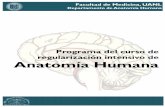 Programa del curso de regularización intensivo de ... · VISIÓN DEL DEPARTAMENTO DE ANATOMÍA HUMANA El Departamento de Anatomía Humana de la Facultad de Medicina de la UANL, ...