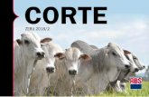 CORTE - ABS Pecplan · Entregamos o Mini Catálogo Corte Zebu 2018 ao mercado com ... TOP% 20,1 14 10035 0,590 Criador: Quilombo Empreend. e Part. Ltda | Prop.: Quilombo Empreend.