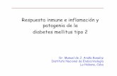 Respuesta inmune e inflamación y patogenia de la diabetes ... · Factores inmunes e inflamatorios en la fisiopatología de la diabetes mellitus tipo 2 Resistencia a la insulina Disfunción