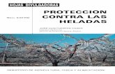 1' ^ 1 PROTECCI N CONTRA LAS HELAD - Control de …controlheladas.com/downloads/Proteccion_Contra_las_Heladas-Hojas... · cielo cubierto no hay riesgo de este tipo de heladas. q.