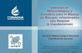 Servicio Meteorológico Nacional Coordinación General · Elementos para gestión de riesgo ... México utiliza datos de un poco más de 100 estaciones climatológicas para este monitoreo