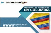 RADIOGRAFÍA DE VENEZOLANOS EN COLOMBIA · tera por la autoridad migratoria colombiana-A la fecha, Migración Colombia tiene registra-dos 632.673 ciudadanos venezolanos, usuarios