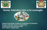 Tema: Introducción a la zoología · Zoología de invertebrados Animales sin hueso Protozología Animales unicelulares Helmintología Gusanos parásitos Malacología Moluscos Entomología