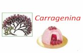 Carragenina - sgpwe.izt.uam.mxsgpwe.izt.uam.mx/files/users/uami/acym/Carragenina_I.pdf · Tipos de Carragenina •Kappa –Produce geles firmes y quebradizos, con sinéresis •Iota