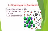 1.Los elementos de la vida 2.Las biomoléculas 3.El …cineticacj.com/wp-content/uploads/2018/04/Presentación... · LOS ELEMENTOS DE LA VIDA Los ss.vv. (seres vivos) están constituidos