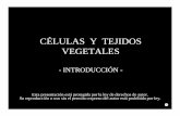 CÉLULAS Y TEJIDOS VEGETALES - …botanicarum.weebly.com/.../026_celulas_y_tejidos_vegetales_intro.pdf · CÉLULAS Y TEJIDOS VEGETALES - INTRODUCCIÓN - Esta presentación está protegida