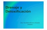 Drenaje yDrenaje y Detoxificaciónpediatriaymedicinabiologica.com/wp-content/uploads/2012/05/detox2.pdf · Alto riesgo de hipoxia y finalmente impregnación celular 3. ... •Bloquean