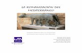 LA ROMANIZACIÓN DEL MEDITERRÁNEO - …mayores.uji.es/.../Calidad-de-Vida/Romanizacion-Peninsula.pdf · troyano Eneas y generado por la diosa ... bajo el nombre de iberos. Los celtas