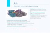 Tema 14. Genética molecular cor - …contenidosbio.pbworks.com/w/file/fetch/115826563/Tema 14... · 14 Genética molecular 1. EL ADN COMO MATERIAL GEN ÉTICO Griffith demuestra que
