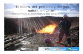 “El futuro del petróleo y del gas natural en Chile” · Explotación ENAP Actividad de perforación Dorado-Riquelme Actividad Exploraciones Magallanes Actividad sísmica Desde