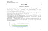 TEMA 1 - Facultad de Ingenieríaing.unne.edu.ar/pub/quimica/t1ea.pdf · Universidad Nacional del Nordeste 1 TEMA 1 Estructura atómica ... bala de 30 cm sobre una hoja de papel y