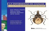 Doença de Chagas Espanhol - cectrad.net · principal vector en el país, Triatoma infestans, hoy restricto a algunas localidades de los estados de Bahía, Piauí, Tocantins y Rio