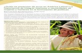 ¿Quién es productor de arroz en América Latina? La ...ciat-library.ciat.cgiar.org/Articulos_Ciat/biblioteca/CIAT_GRiSP... · La importancia de integrar intereses y ... de recursos