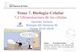 Tema 7. Biología Celular - dpbiologia.weebly.comdpbiologia.weebly.com/uploads/2/1/5/5/21553524/gtp_t7.biología... · rotación para permitir el desplazamiento de la bacteria por