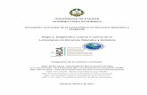 UNIVERSIDAD DE PANAMÁ VICERRECTORÍA …portal.portaleducoas.org/sites/default/files/nw/docs/I-DIAGNOSTICO... · Aspectos específicos de los elementos ... de la conducción y desarrollo