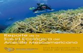 El Arrecife Mesoamericano - healthyreefs.org€¦ · toreo arrecifal estandarizado y crear una base de datos colaborativa que incluya todos los indicadores necesarios de la salud